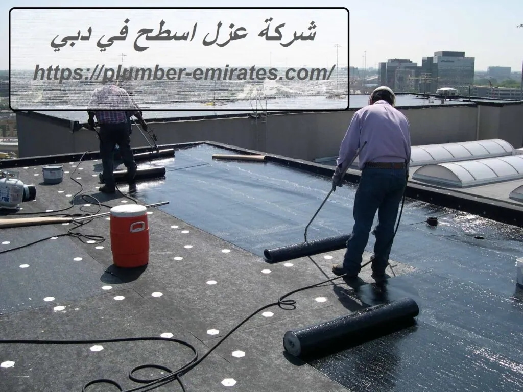 شركة عزل اسطح في دبي